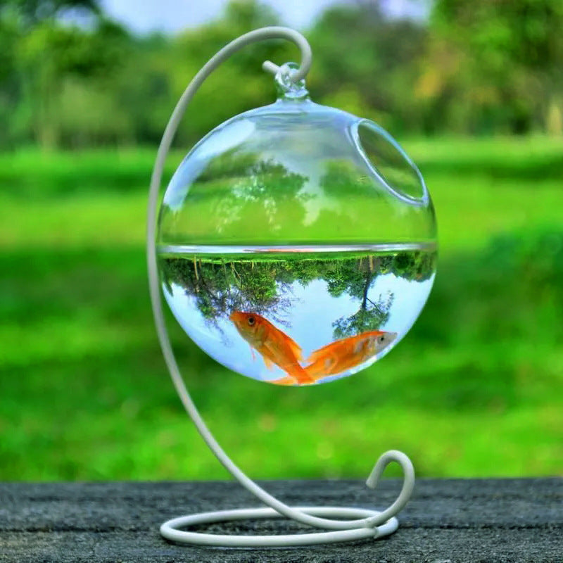 Transform Your Space with the Hanging Glass Vase Fish Tank