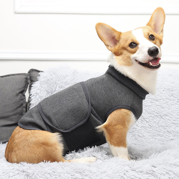 Elevate Your Pet's Style and Comfort with Our Double Jacket