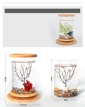 Transform Your Space with Our Pet Mini Glass Aquarium