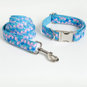 Why Your Pet Deserves the Mermaid Style Collar and Leash
