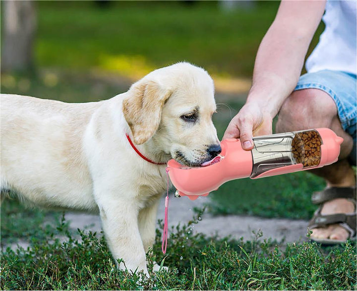 Hydrate and Care for Your Pet on the Go!