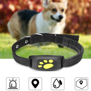 Keep Your Pet Safe with the Pet GPS Tracker