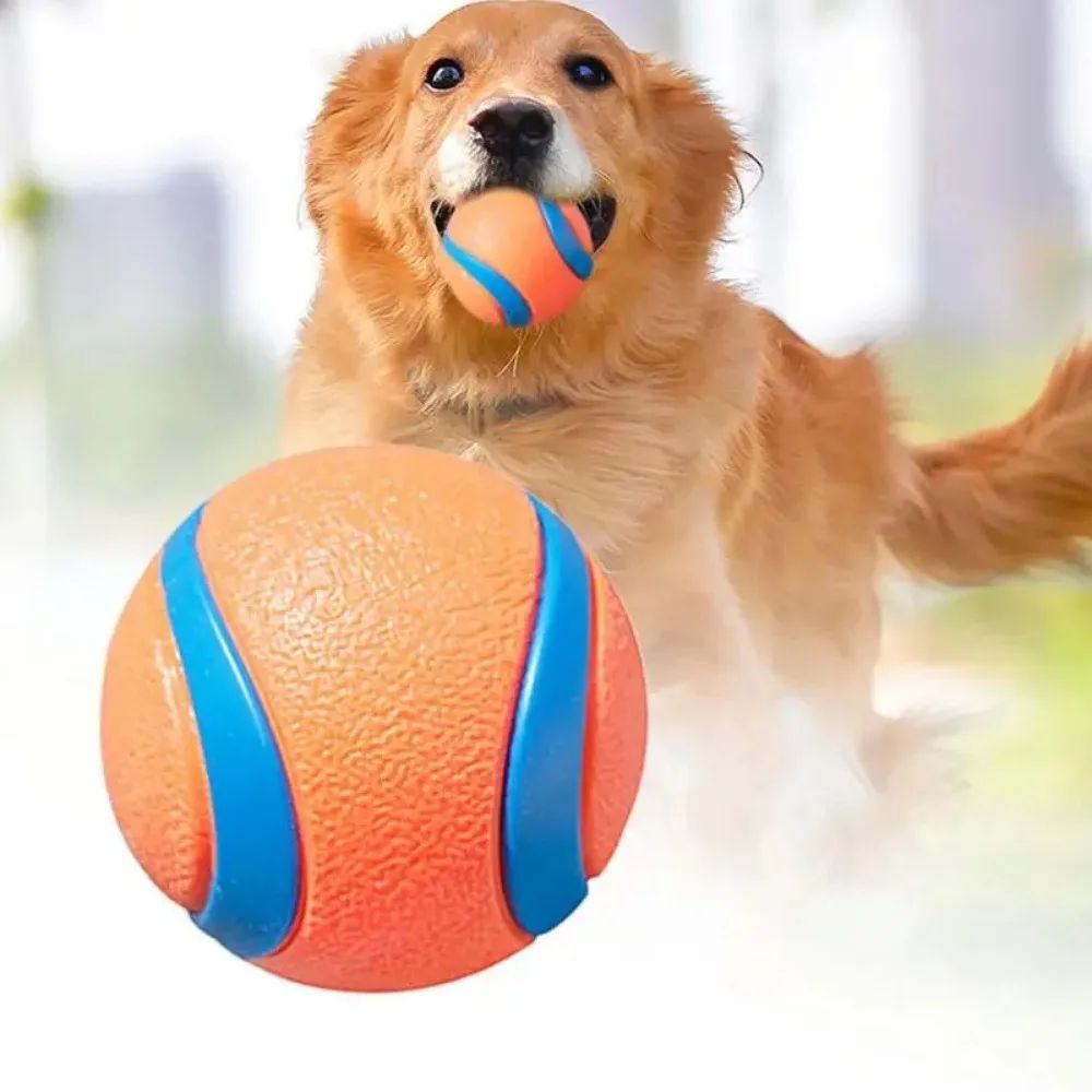 Why the Pet Fetch Ball is a Must-Have for Your Furry Friends