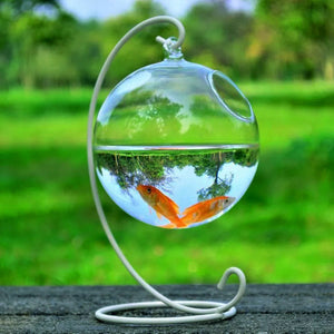 Transform Your Space with the Hanging Glass Vase Fish Tank
