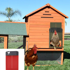 Revolutionize Your Chicken Coop with the Coop Pet Door