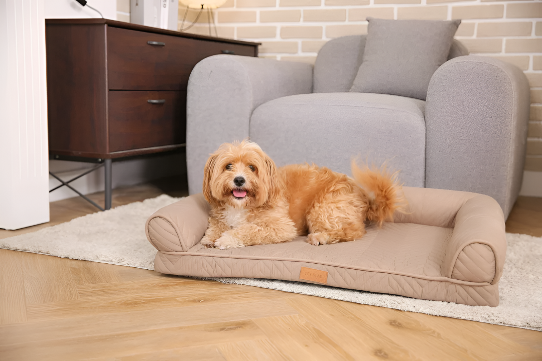 Choosing the Perfect Pet Bed for Your Furry Friend
