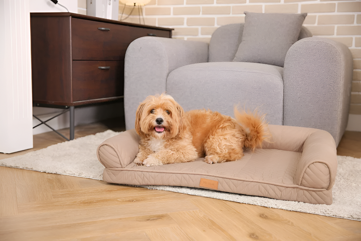 Choosing the Perfect Pet Bed for Your Furry Friend