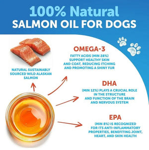 Why Wild Alaskan Salmon Oil is Essential for Your Dog's Health