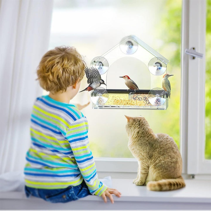 Pet Acrylic Transparent Wall-Mounted Bird Feeder Cage