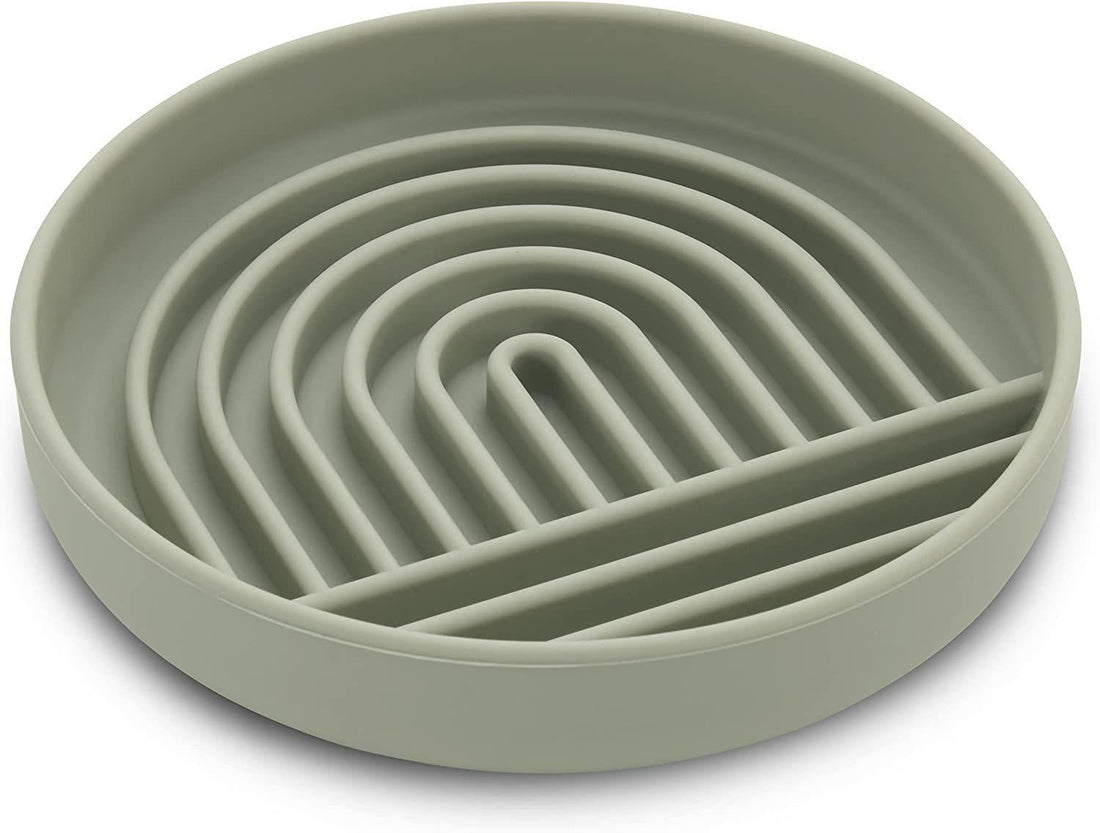 Slow Feed Fashionable Pet Food Bowl