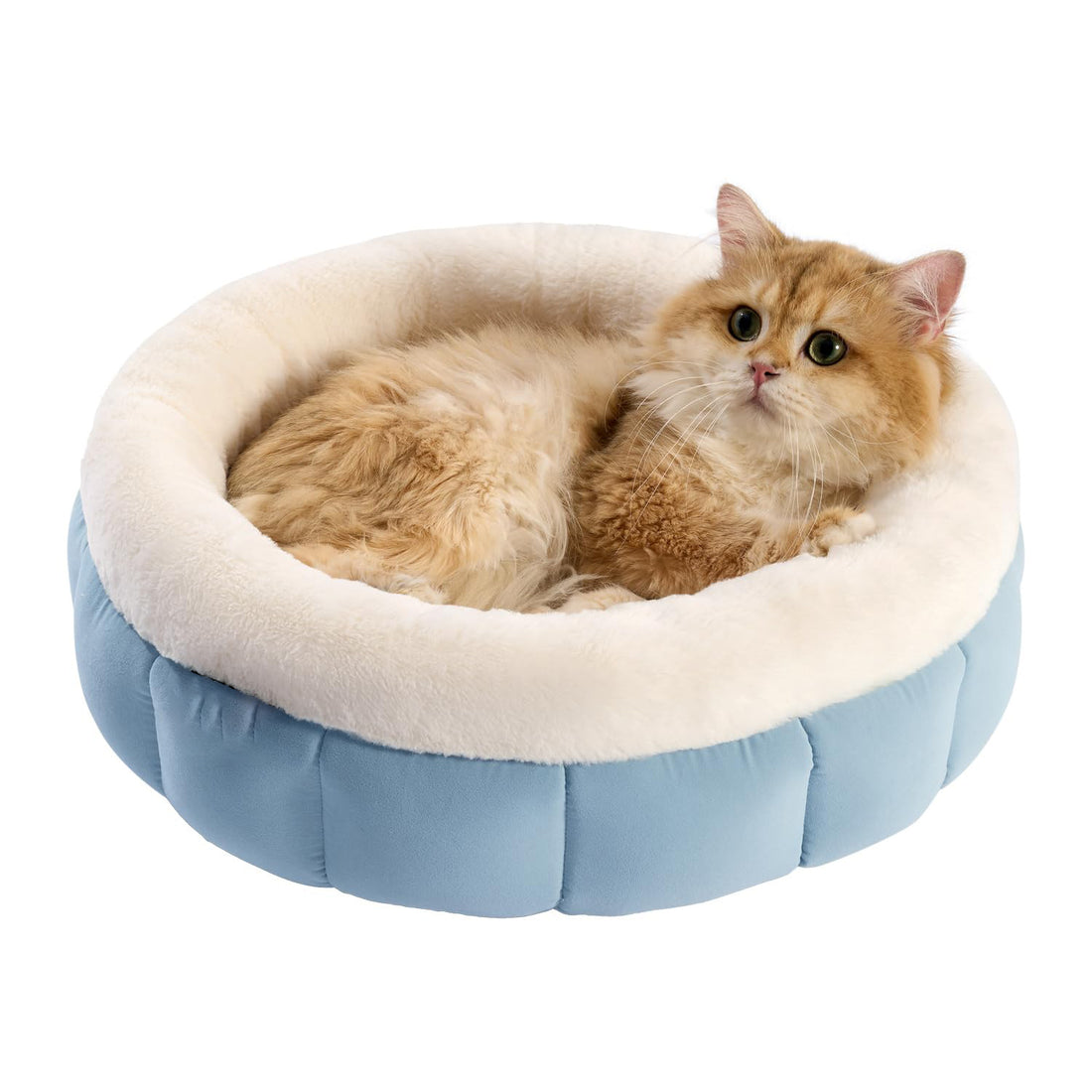 Round Donut Pet Bed Washable Anti-Slip Small Bed