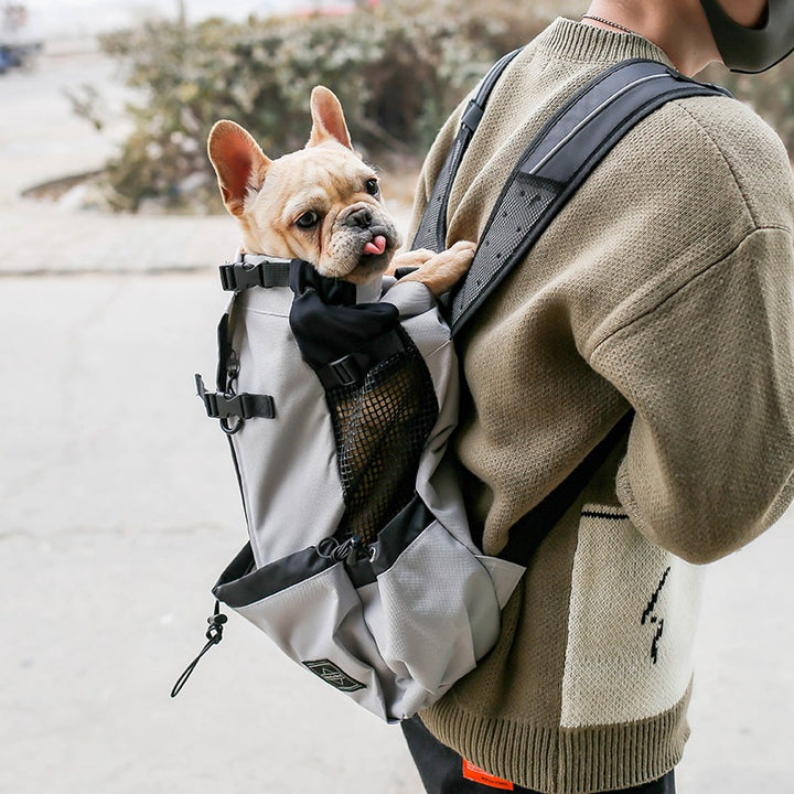Double Shoulder Portable Pet Travel Carrier Backpack