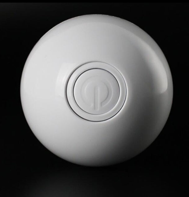 Pet LED Laser Rolling Interactive Toy Ball