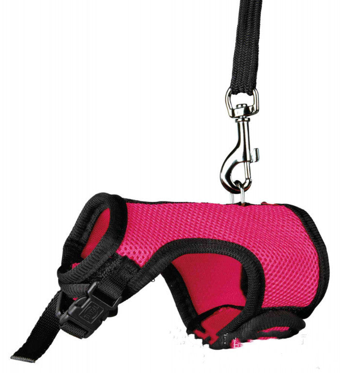 Adjustable Small Pet Leash