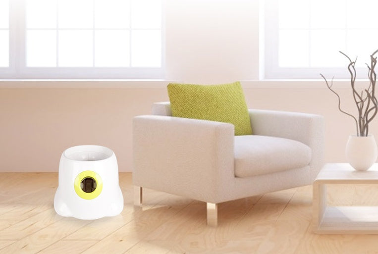 Automatic Interactive Pet Ball Launcher For Fun Exercise