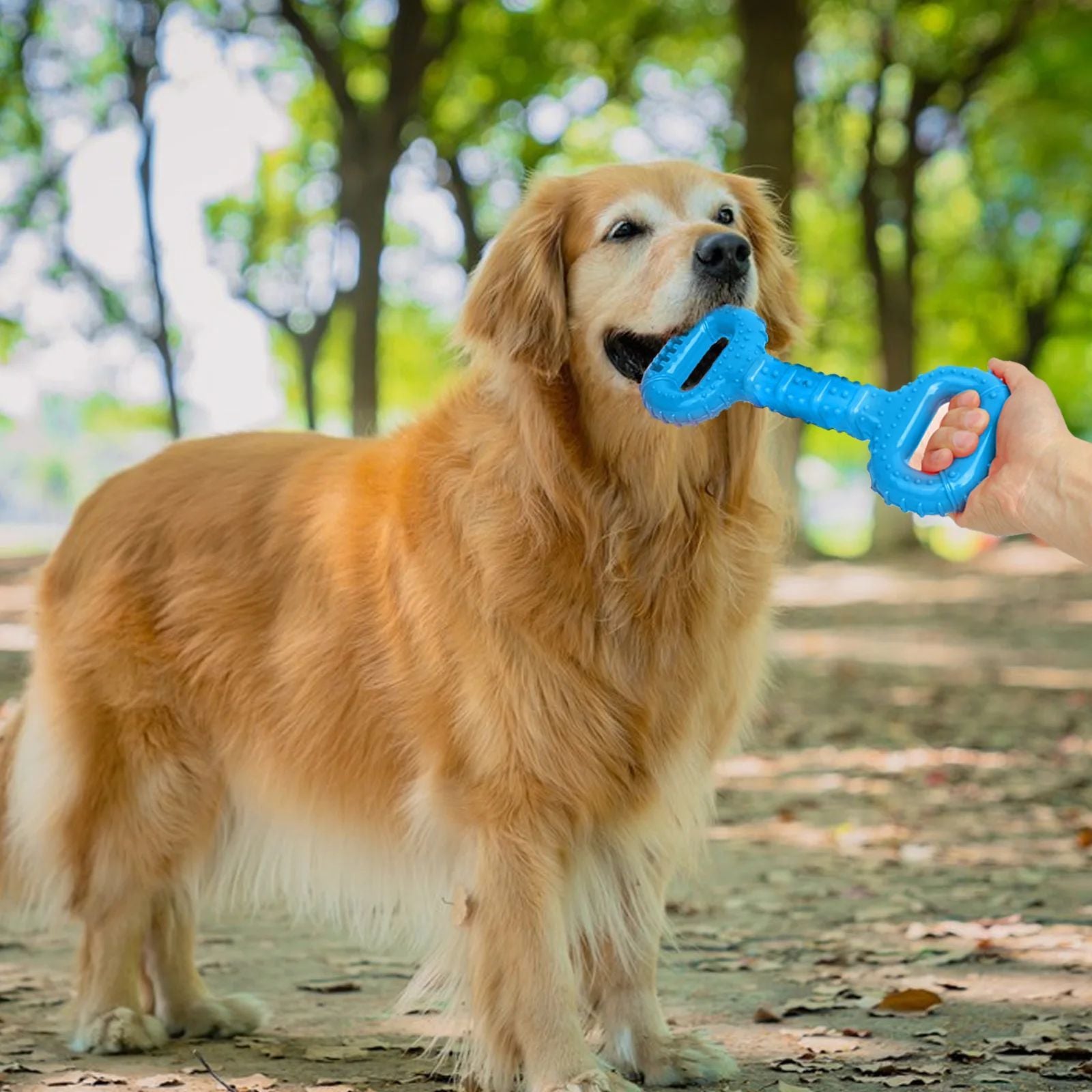 Long-Lasting Interactive Pet Chew Bone With Pull Band