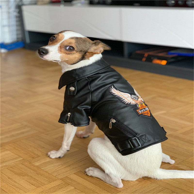 Embroidered Eagle Leather Pet Jacket