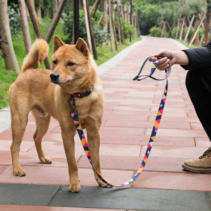 Durable Pet Leash