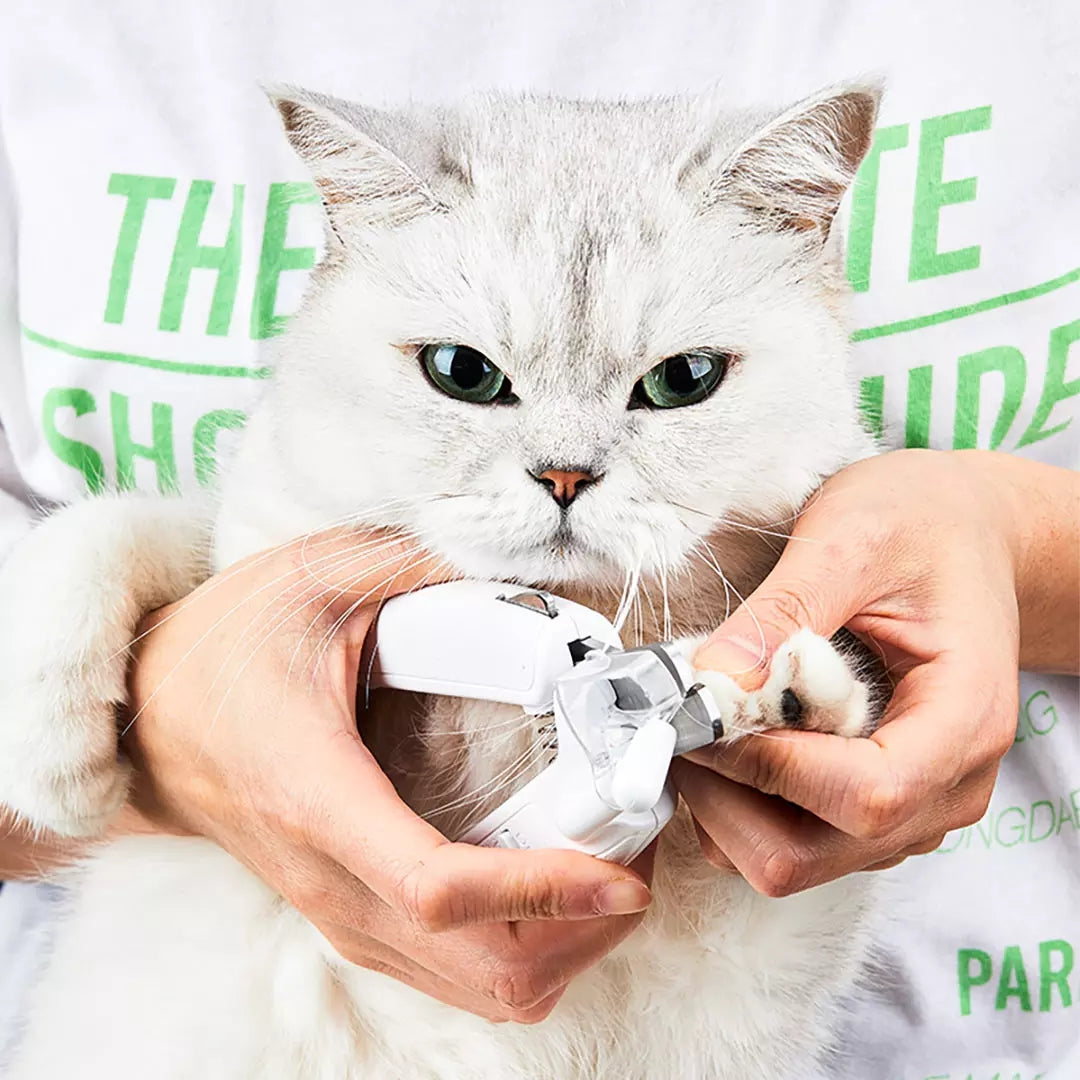 Professional Pet Nail Clipper Scissors With LED Light