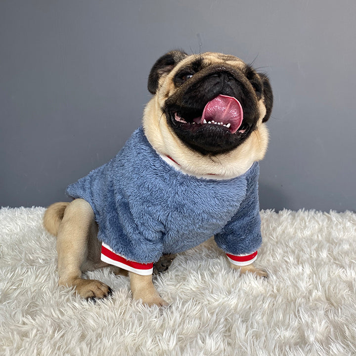 Cozy Knit Sweater For Pets