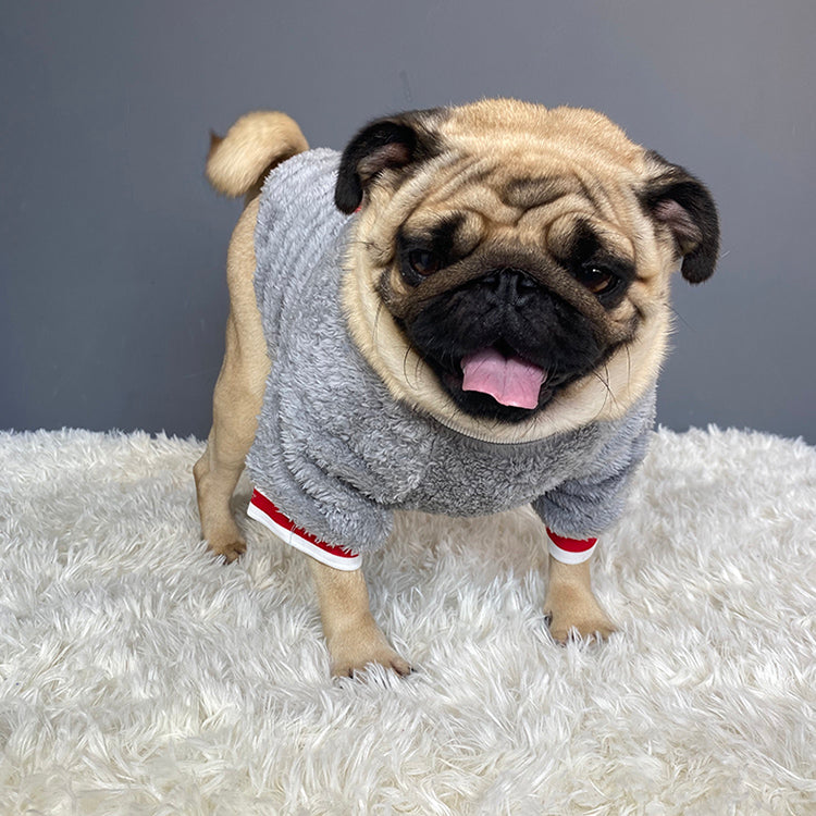 Cozy Knit Sweater For Pets