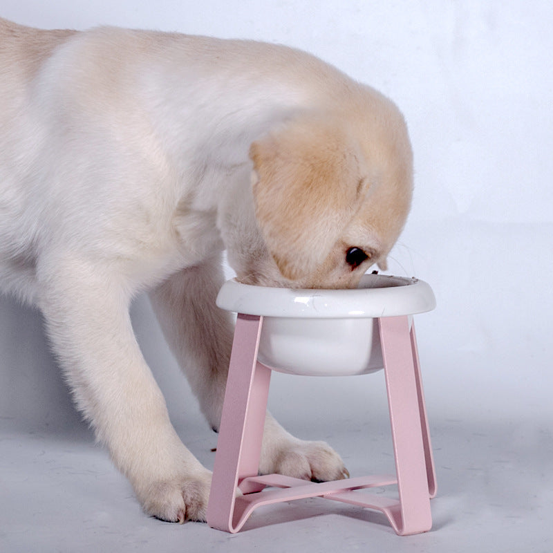 2-in-1 Creative Anti-Slip Pet Food and Water Bowl