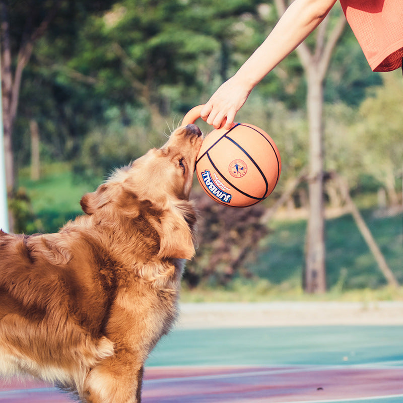Pet Jianbao Puzzle Bite-Resistant Chew Ball Toy