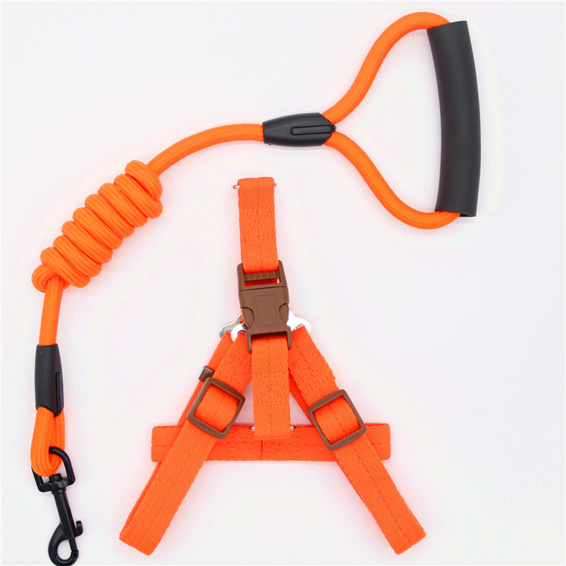 Simple Adjustable Pet Leash