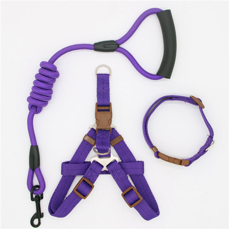 Simple Adjustable Pet Leash