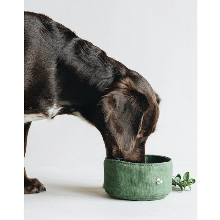 Foldable Canvas Pet Travel Feeding and Water Bowl