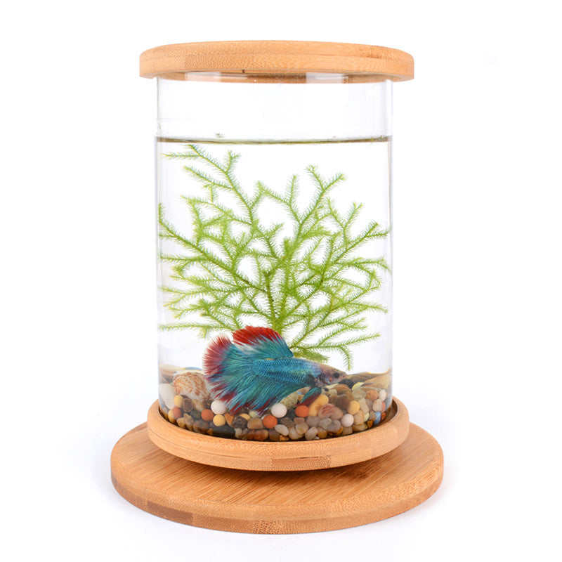Pet Mini Glass Aquarium Bamboo Base Fish Bowl