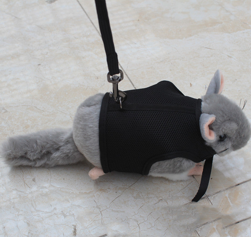 Adjustable Small Pet Leash