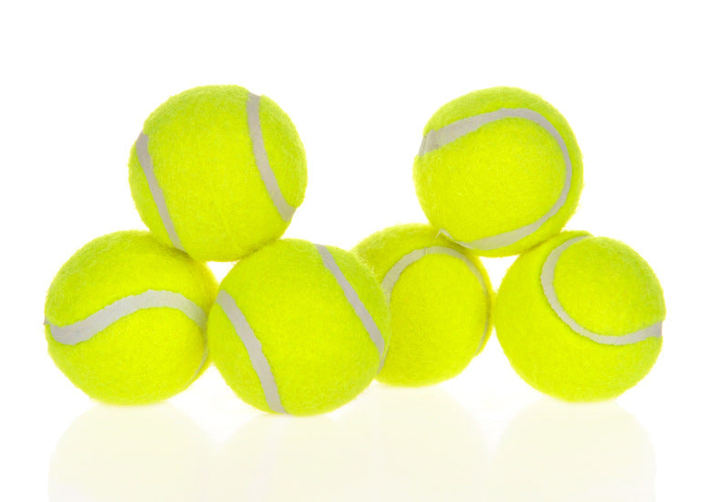 Automatic Interactive Pet Ball Launcher For Fun Exercise