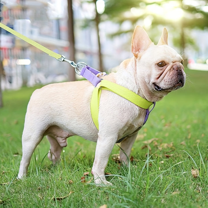 Rainbow Colorblock Pet Harness Vest With Chest Leash