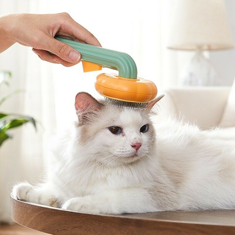 Self-Cleaning Pumpkin Pet Slicker Brush For Grooming