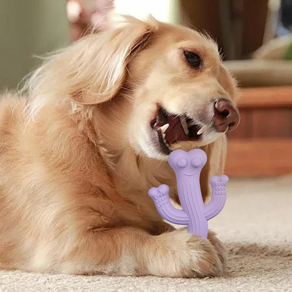 Ultra-Durable Cactus Pet Chew Toy