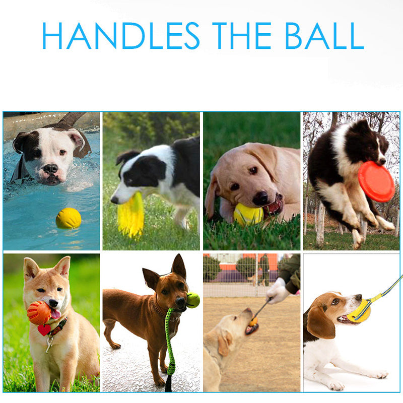 Pet EVA Interactive Chew Ball Toy