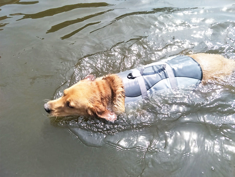 Adjustable Pet Life Jacket