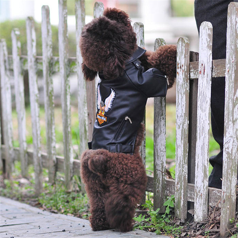 Embroidered Eagle Leather Pet Jacket