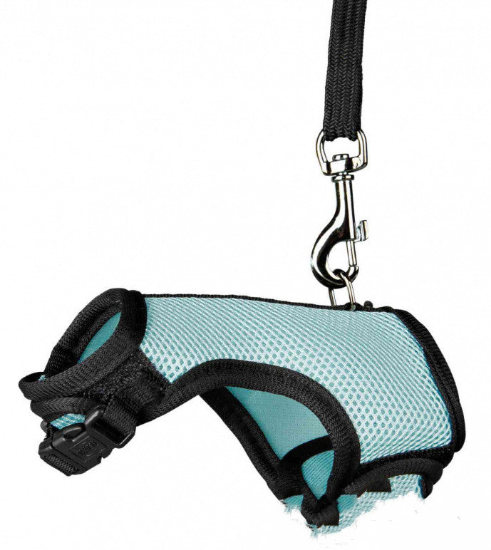 Adjustable Small Pet Leash