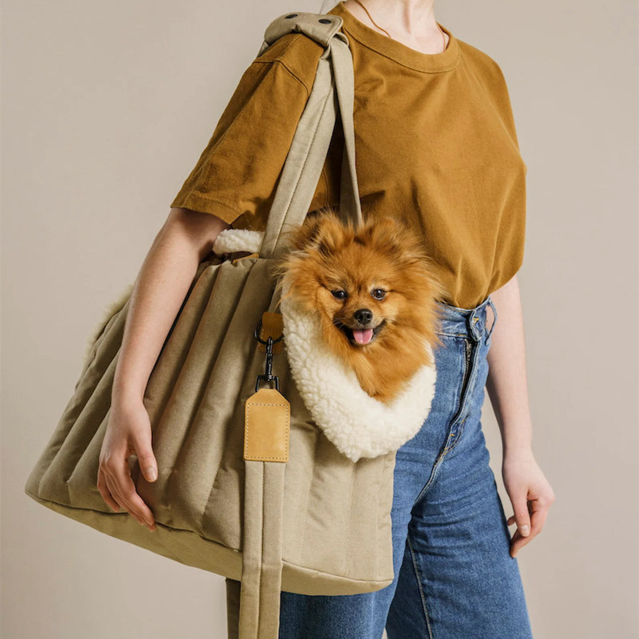 Lightweight Waterproof Portable Pet Carrier Handbag