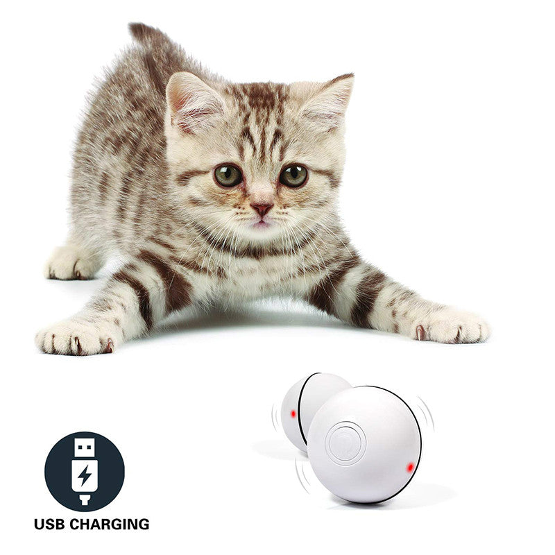 Pet LED Laser Rolling Interactive Toy Ball