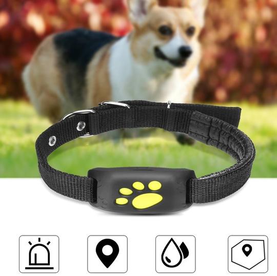 Pet GPS Tracker Real-Time Location Device