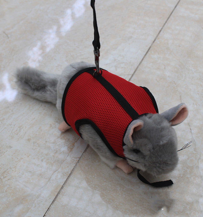 Adjustable Small Pet Leash