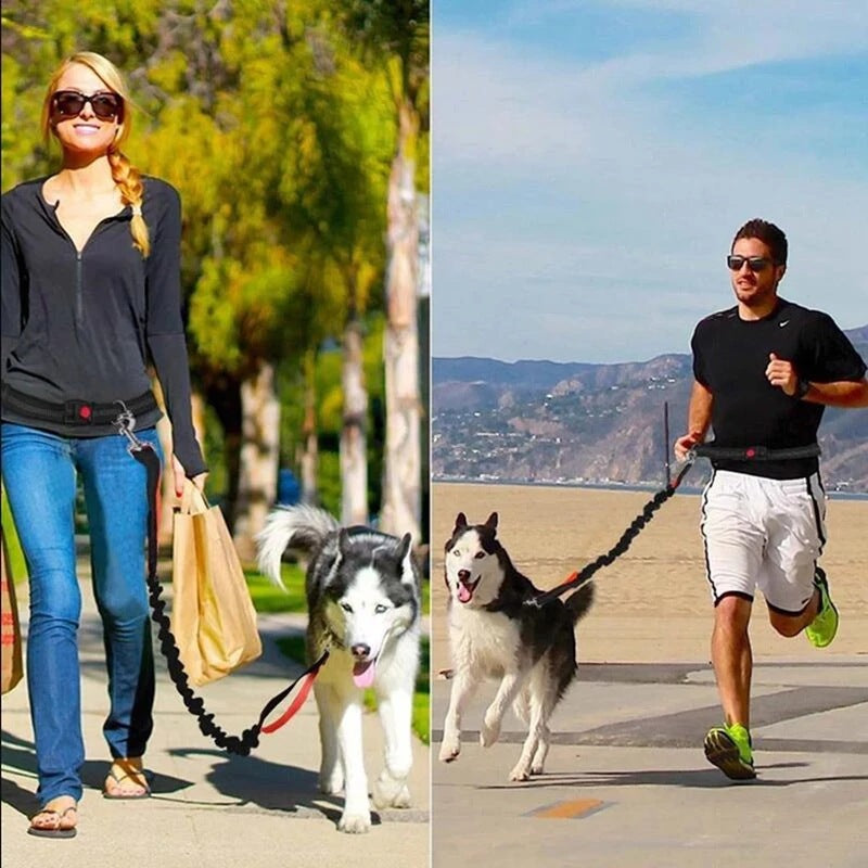 Adjustable Pet Harness and Jogging Leash