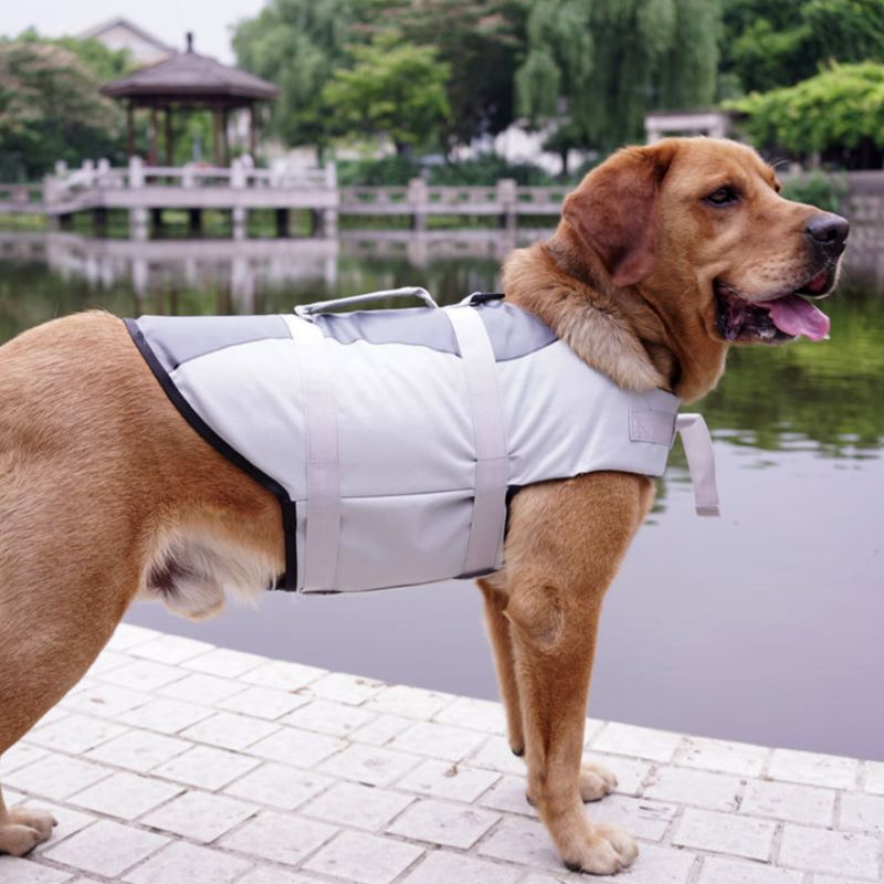 Adjustable Pet Life Jacket