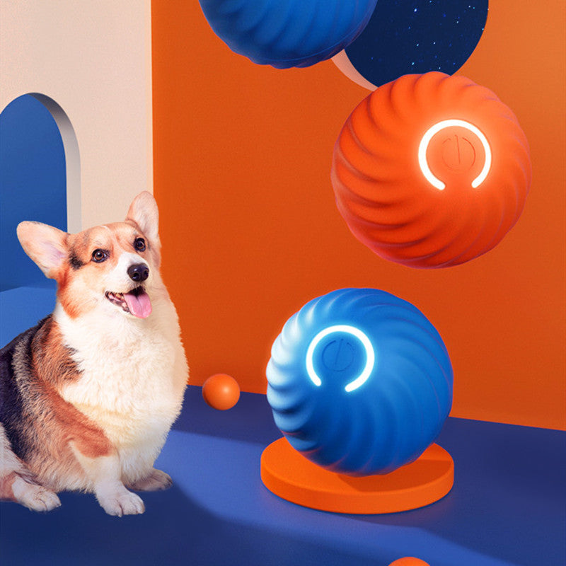 Pet Rubber Bite-Resistant Chew Ball Training Toy