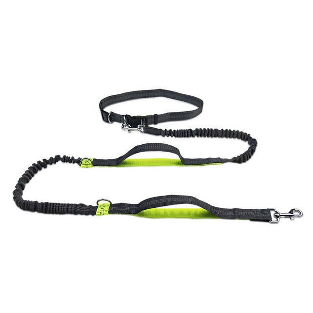 Adjustable Pet Harness and Jogging Leash