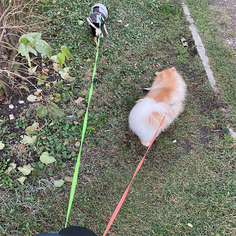 Pet Retractable Reflective Dual Leash with Light