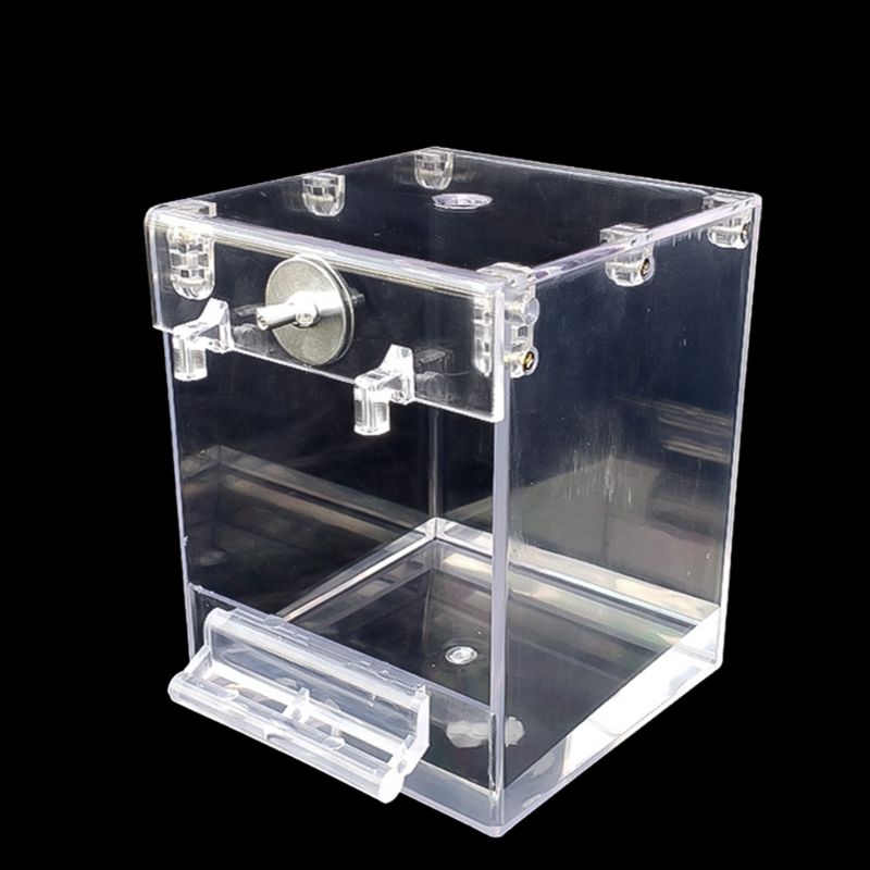 Pet Transparent External Bird Bath Square Basin Tray